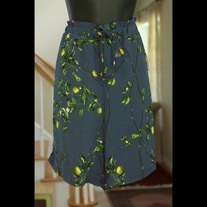 ANTHROPOLOGIE Navy Blue Shorts with Lemons and Leaves